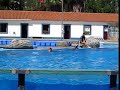 Ba�a dos Golfinhos - Zoo Lisboa