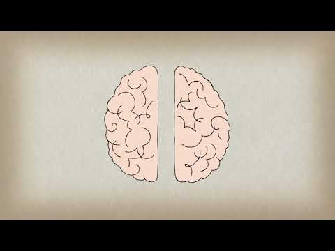 Curiosidades - TED-Ed - Como tocar un instrumento beneficia a tu cerebro - Anita Collins