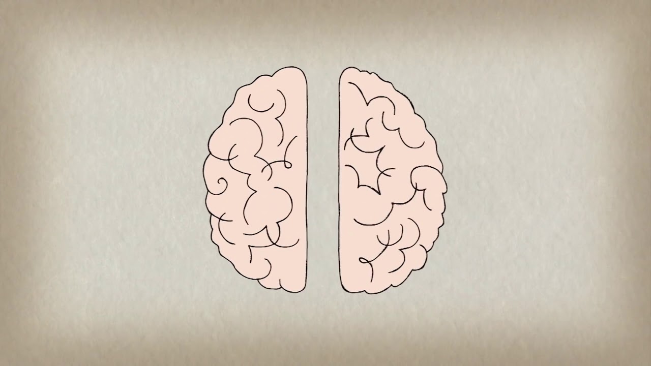 Curiosidades - TED-Ed - Como tocar un instrumento beneficia a tu cerebro - Anita Collins
