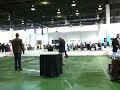 National Dog Show 2007