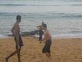 Alamak videos- Ganu Kite