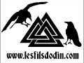 les fils dodin   scandinavian landscapes   odinisme  asatru