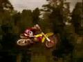 FmX
