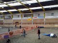 Offitiell Fifty-Fifty M�ntschemier 29.11.08