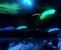 GULLA & BRUZ AL TEMPLARES---LEGEND GIGI D\