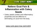 Gout Natural Remedies - Celery Seeds Gout Natural Remedies - Celery Seeds