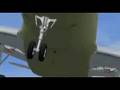 Bird Strike in Flight Simulator X