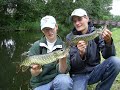 Pike fishing dutch waters Pike fishing dutch waters