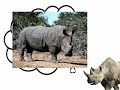 Rhinoceros - Eugene Ionesco Rhinoceros - Eugene Ionesco