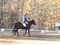 More Dressage Clinic!
