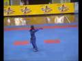 videos de Vovinam Viá»t VÃµ Äáº¡o - Thai Cuc Don Dao Phap