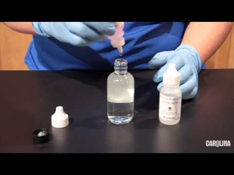 how to perform bod test