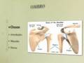 Dr Alexandre Henrique - aula PG fisioterapia - anatomia MMSS - CESUMAR