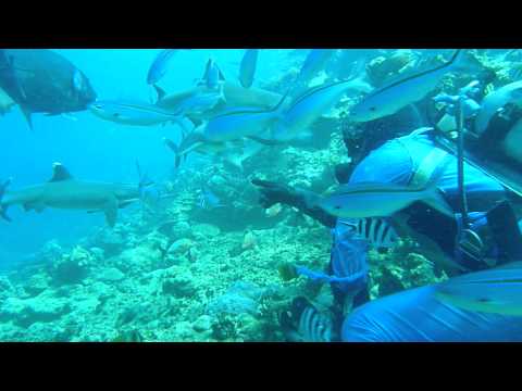 See video