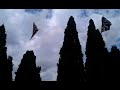 Preview video La Nzegna 2012 - Belvedere