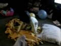 videos de new camera 213