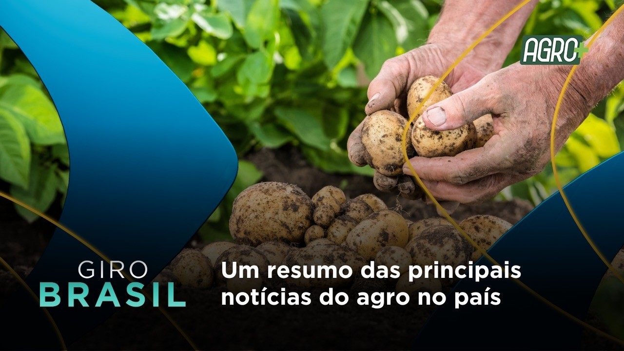 Giro Brasil 26/02 - Um resumo das principais notícias do país