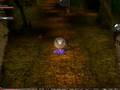 Metin2.pt  TRevolution