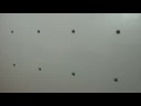 いつもみてくれているよ