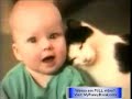 The Funniest Cat - free funny cat videos