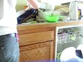 DishWasher Divas DishWasher Divas