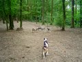 Sceaux - 07/09/2008
