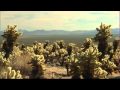 Unusual Beauty of Joshua Tree National Park - YouTube