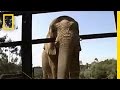 Talking Elephant 