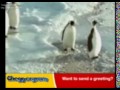 Pingüino malvado