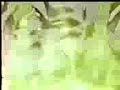 dragon ball z af episode goku transfromacion ss5 mpeg
