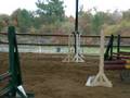 videos de Constance Oxer de Bellevue 16112008