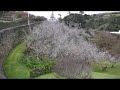 Beautiful Garden in São Miguel