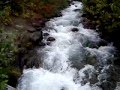 Alaskan Stream