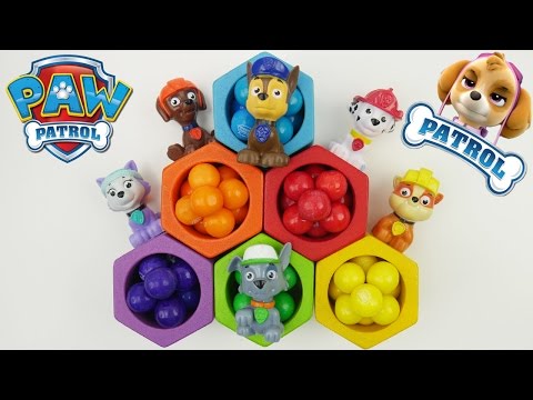 Best Kid Learning Video for Children Paw Patrol Preschool Educational Finger Family Nursery Rhymes