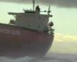 The Pash on the Nob (The Pasher Bulker Lays Poised)