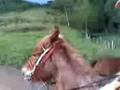 videos de Naughty ride throughout the Brazilian countryside