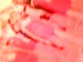 SEX BOUTIKE 2
