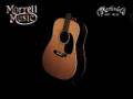 Martin D-28