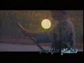 Culture of Uygur ---- Uyghur medinyiti 02