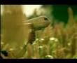 VIDEOS: A trip down memory lane: Kingfisher and Air Deccan