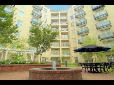 Alexander on Ponce Apartments - Video