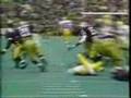 Washington Huskies Football