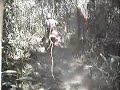 pedreira em maracaju pedreira em maracaju