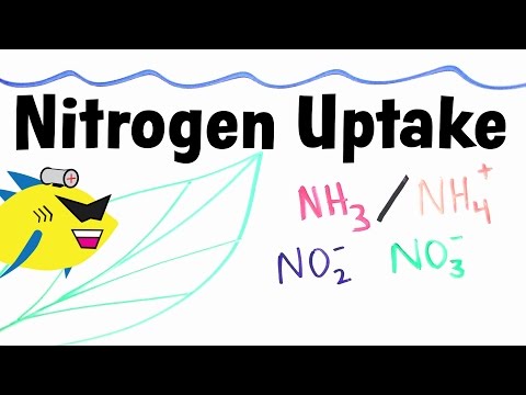how to provide plants with nitrogen