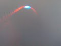 vampire-squid.html