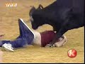 Funny BullFight