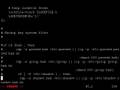 Debian Etch SELinux in few minutes