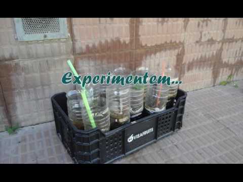 Imatge de previsualització de YouTube