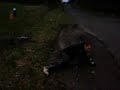 le v�lo c po mon truc mdr