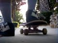 540 FLIP SEX CHANGE AKA  ROSENTHALIAN   FLIP